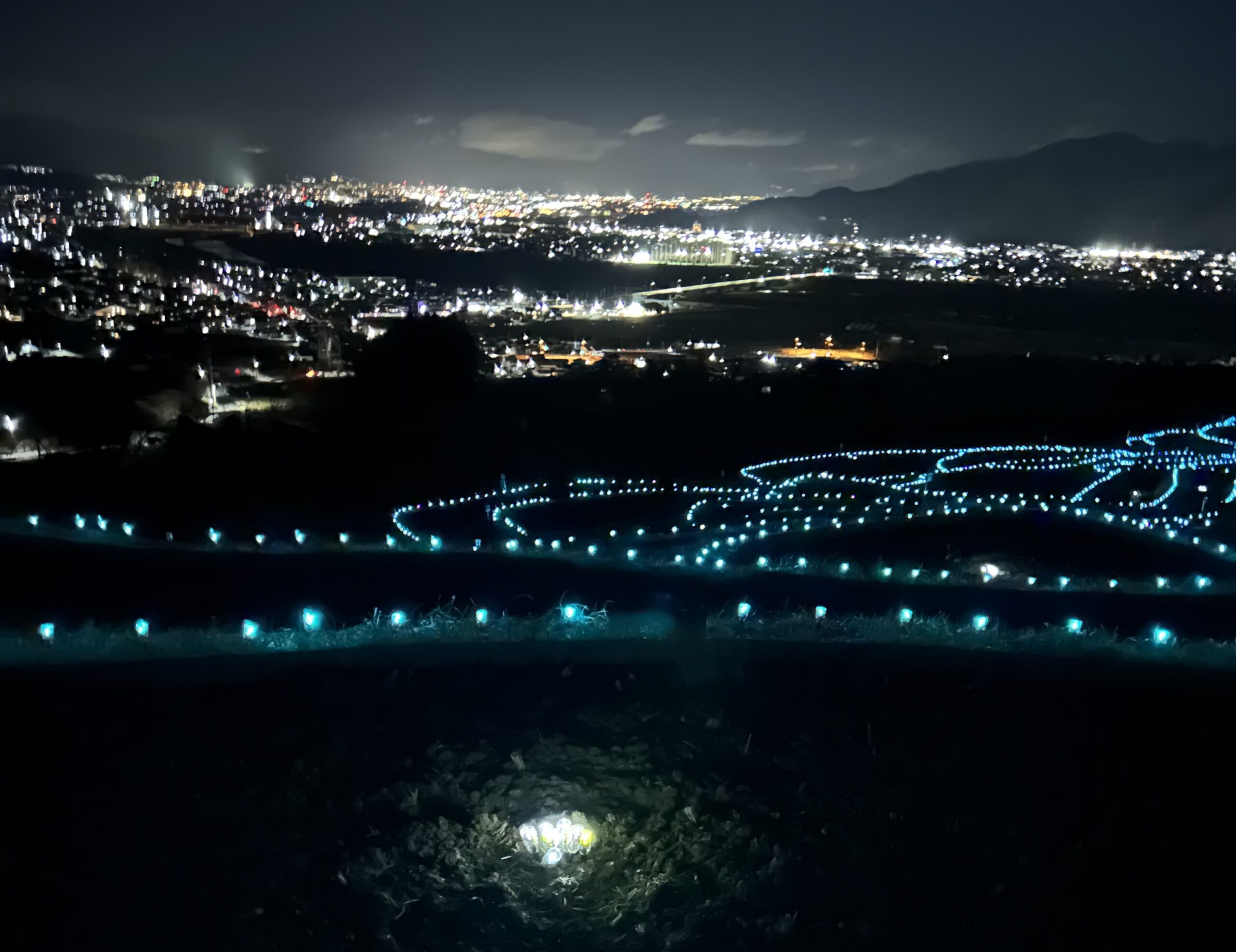 ライトアップの姨捨棚田 - 日本遺産 月の都千曲