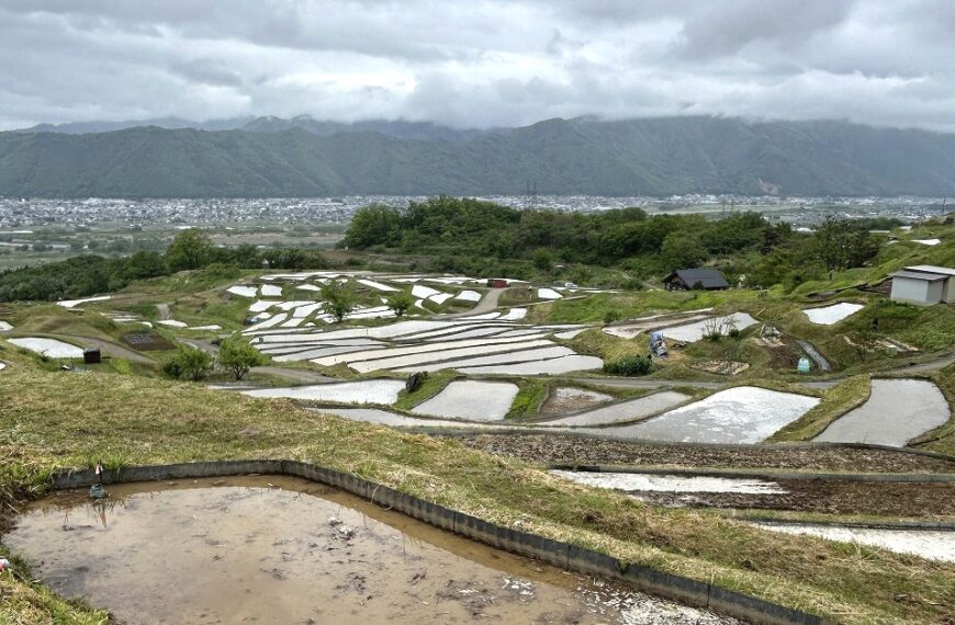 姨捨棚田の給水(樋抜き）