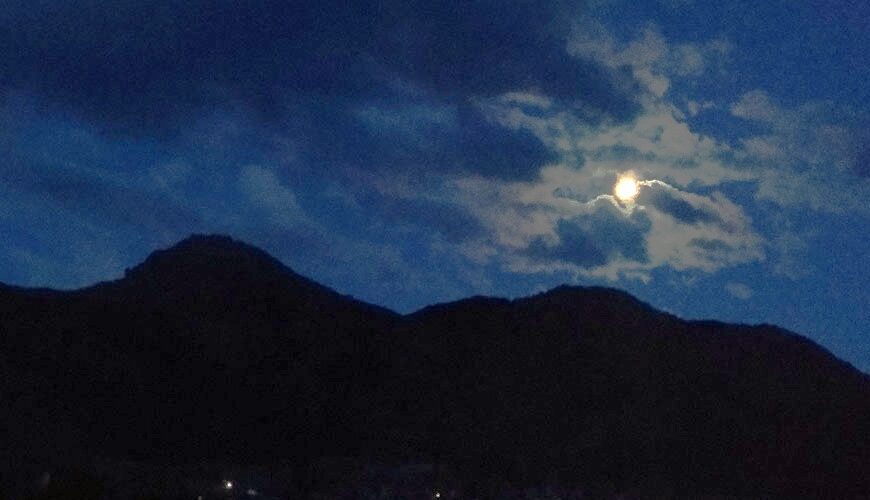 千年を超えて宿る「嘆きの美楽」