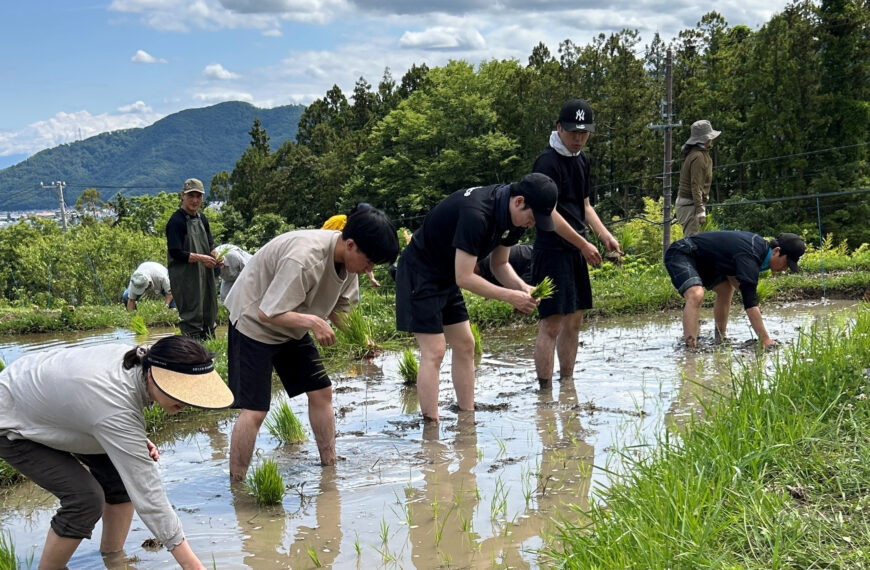 令8年「四十八枚田」の田植え